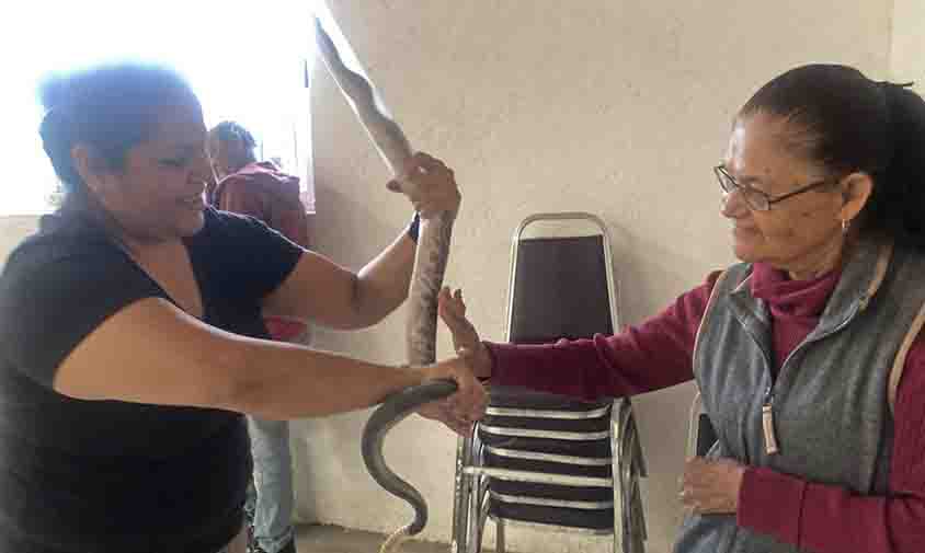 Impulsa CEPCQ comités comunitarios para fortalecer cultura de prevención en Querétaro