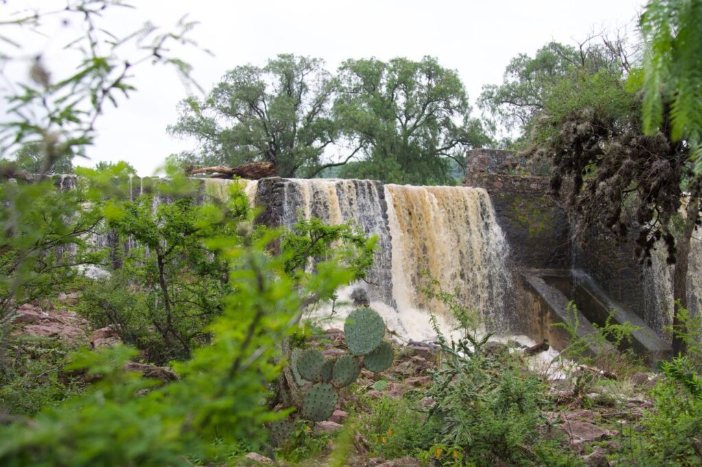 Activa Gobierno Municipal de San Juan del Río protocolos de Protección Civil ante ciclón Flossie