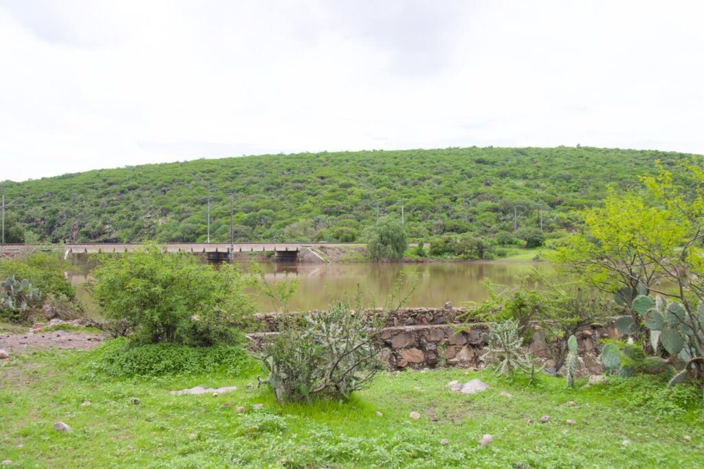 Activa Gobierno Municipal de San Juan del Río protocolos de Protección Civil ante ciclón Flossie