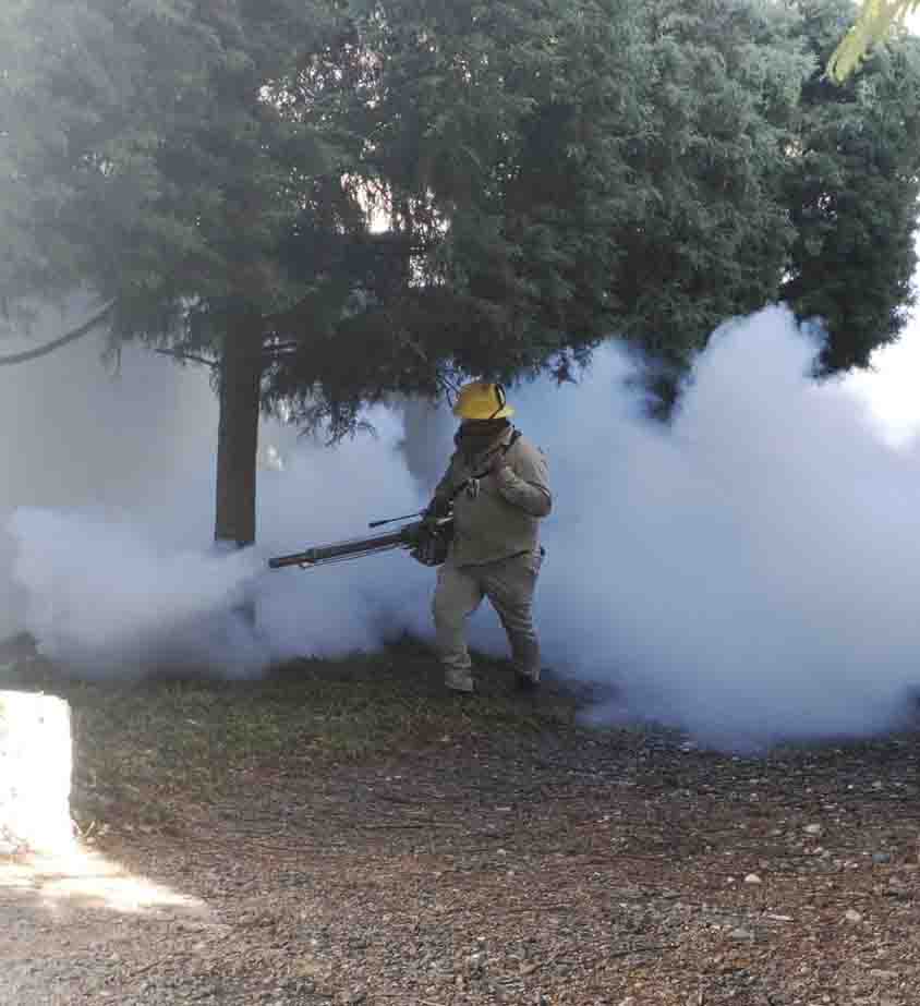 Efectúa SESA vigilancia epidemiológica del dengue