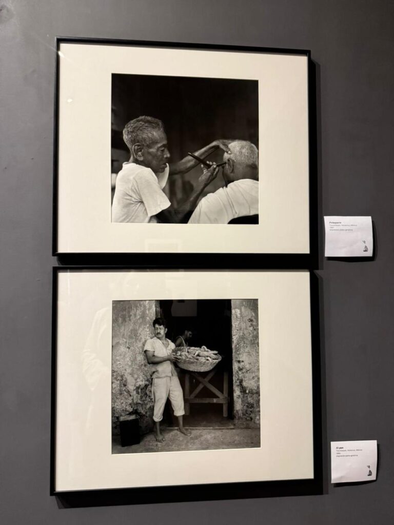 Inaugura López Birlain la muestra Entre cuerpos extraños, de Mariana Yampolsky