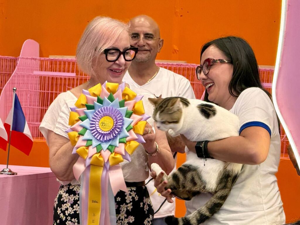 Récord de asistencia en Miau and Pets, Expo Mascotas y Cat Show 2025 en Querétaro