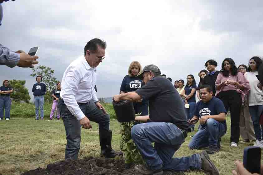 Arranca programa de reforestación en la UTEQ