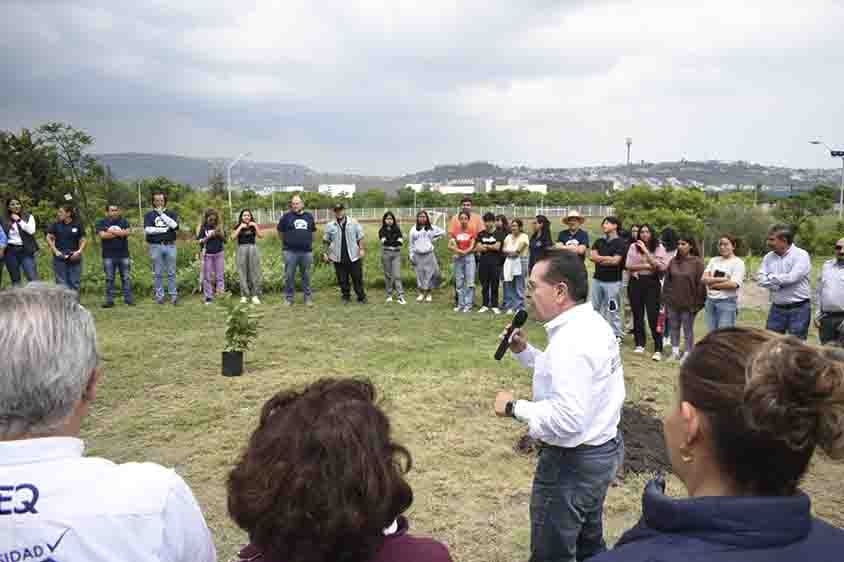 Arranca programa de reforestación en la UTEQ