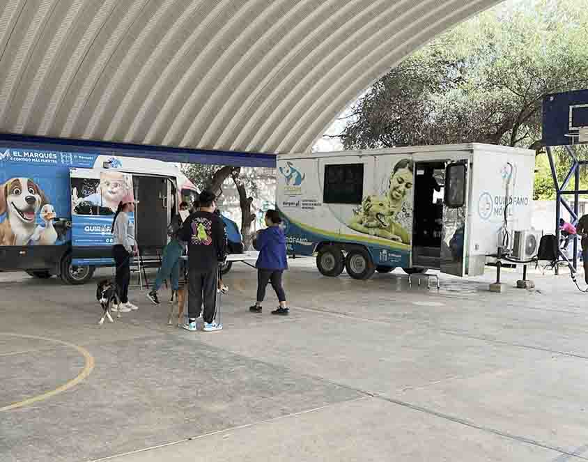 Realiza SESA Jornada de Esterilización Canina y Felina