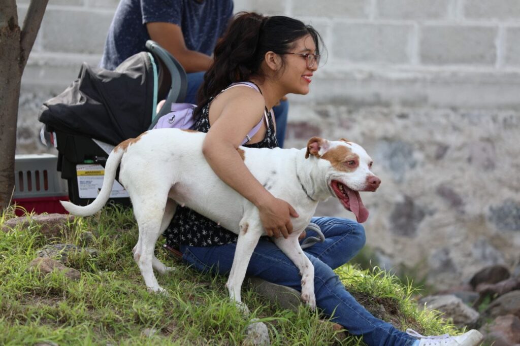 Municipio de San Juan del Río refrenda su compromiso con el cuidado y la protección de animales