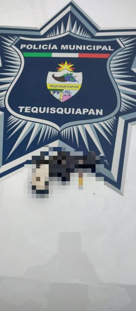 Masculino detenido y puesto a disposición por portación de arma de fuego