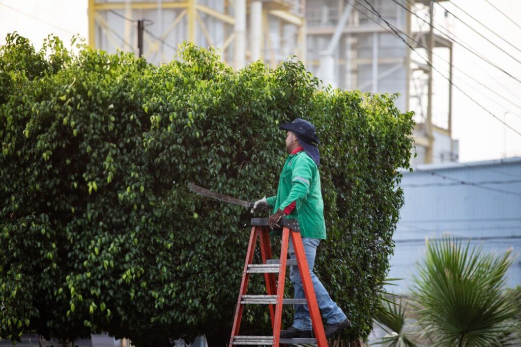Supervisa Roberto Cabrera trabajos de imagen urbana en Infonavit San Isidro y limpieza en Paseo de los Abuelos