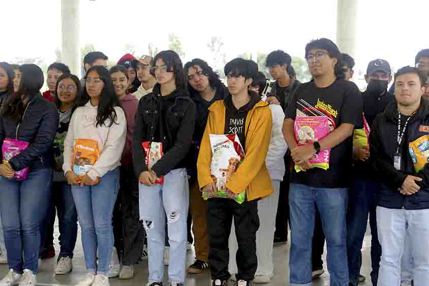 Dona comunidad UTC alimento para perro