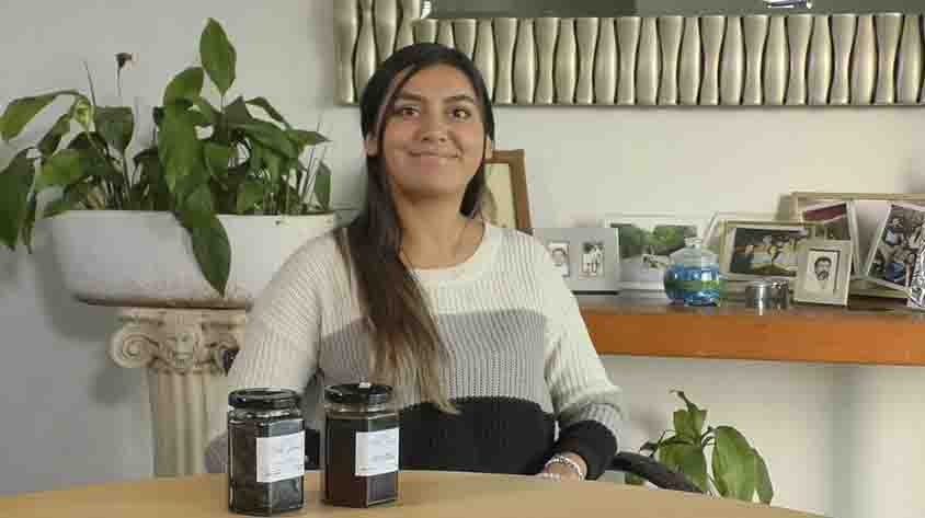 UTEQ inicia programa de incubación de negocios