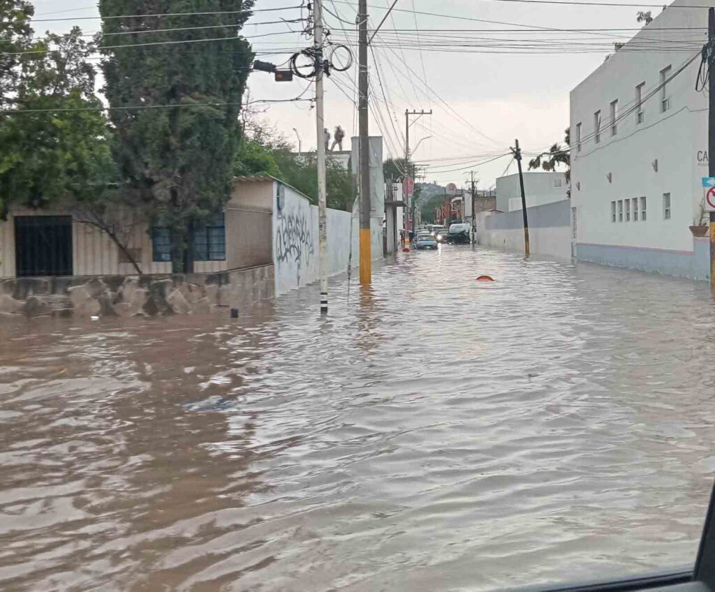 1.	“Cacadrilos” invaden Cadereyta: colapsa drenaje por falta de mantenimiento