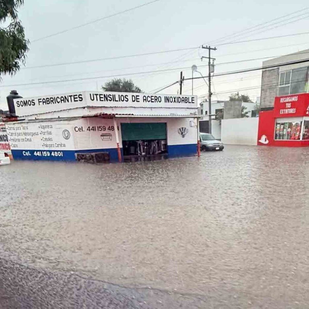 1.	“Cacadrilos” invaden Cadereyta: colapsa drenaje por falta de mantenimiento