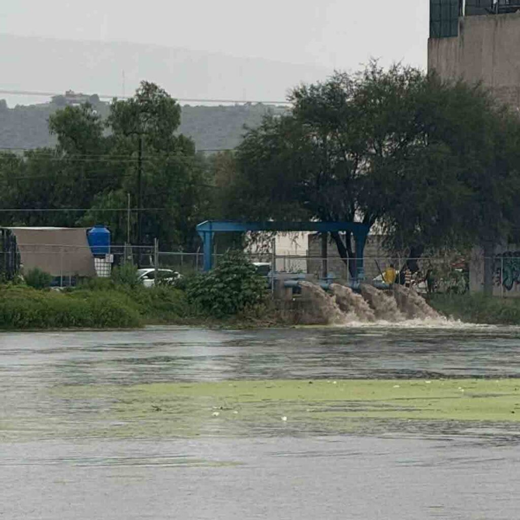 1.	“Cacadrilos” invaden Cadereyta: colapsa drenaje por falta de mantenimiento