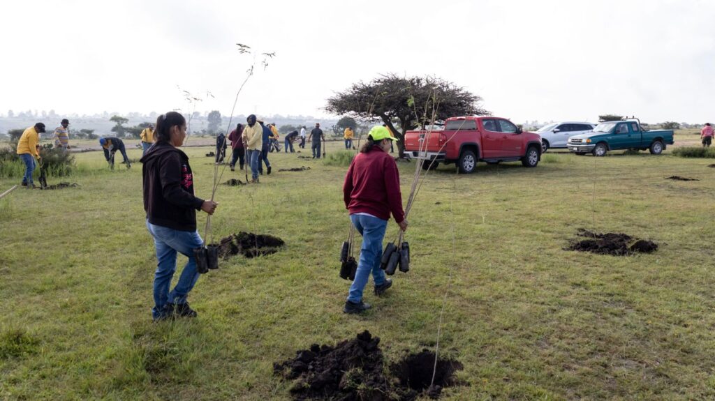 Toño Pérez inicia acciones del Programa “Raíces del Agua” con reforestación en Santa Bárbara La Cueva