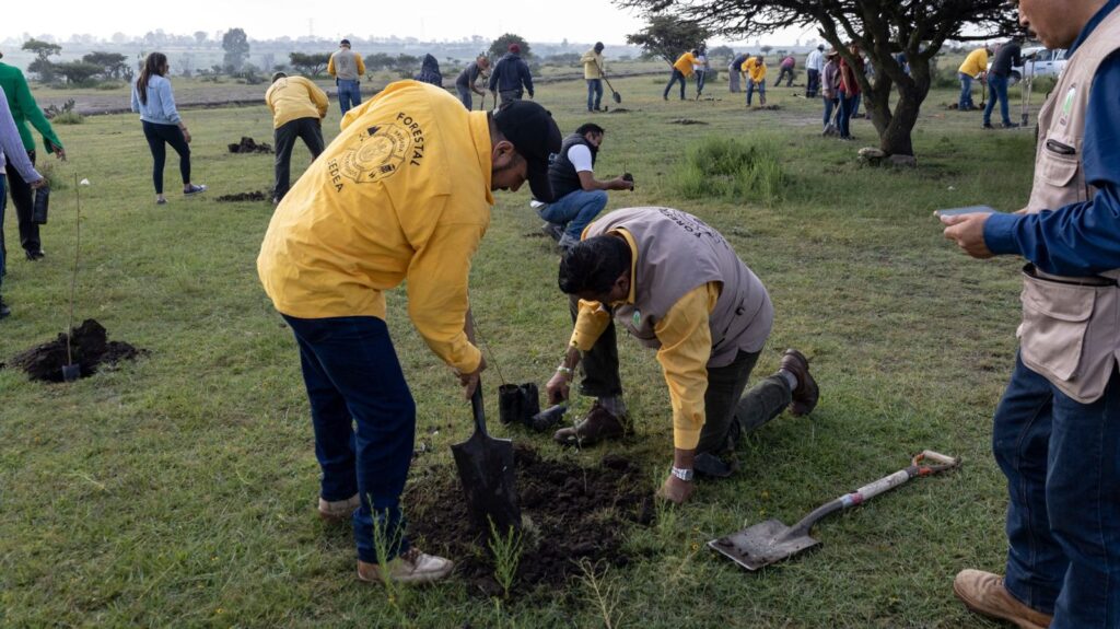 Toño Pérez inicia acciones del Programa “Raíces del Agua” con reforestación en Santa Bárbara La Cueva