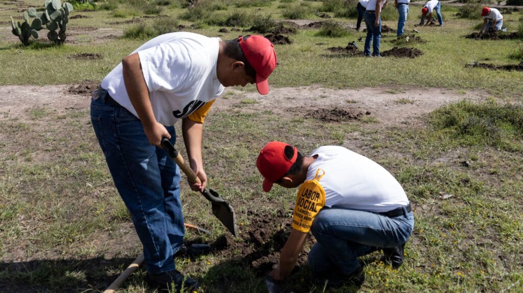 Toño Pérez inicia acciones del Programa “Raíces del Agua” con reforestación en Santa Bárbara La Cueva