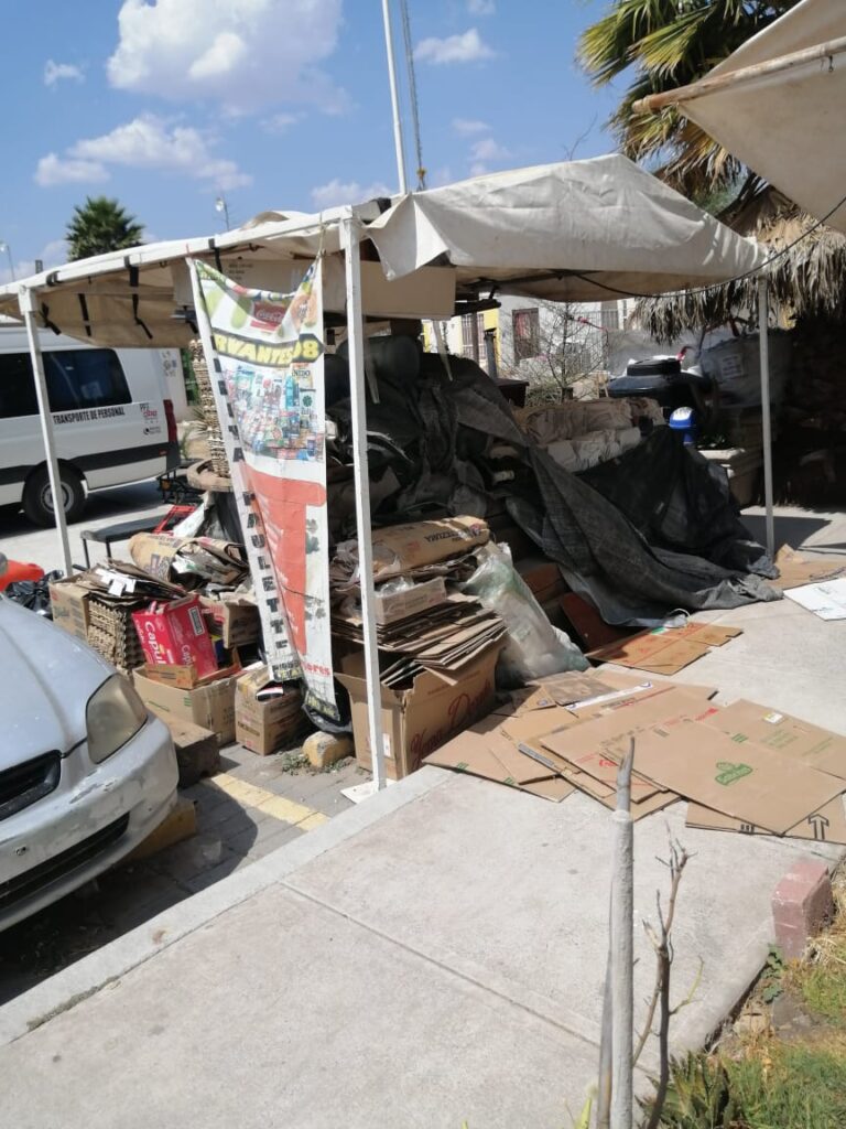 Vecinos denuncian riesgo por palmera en Paseos del Marqués; autoridades omisas ante el problema