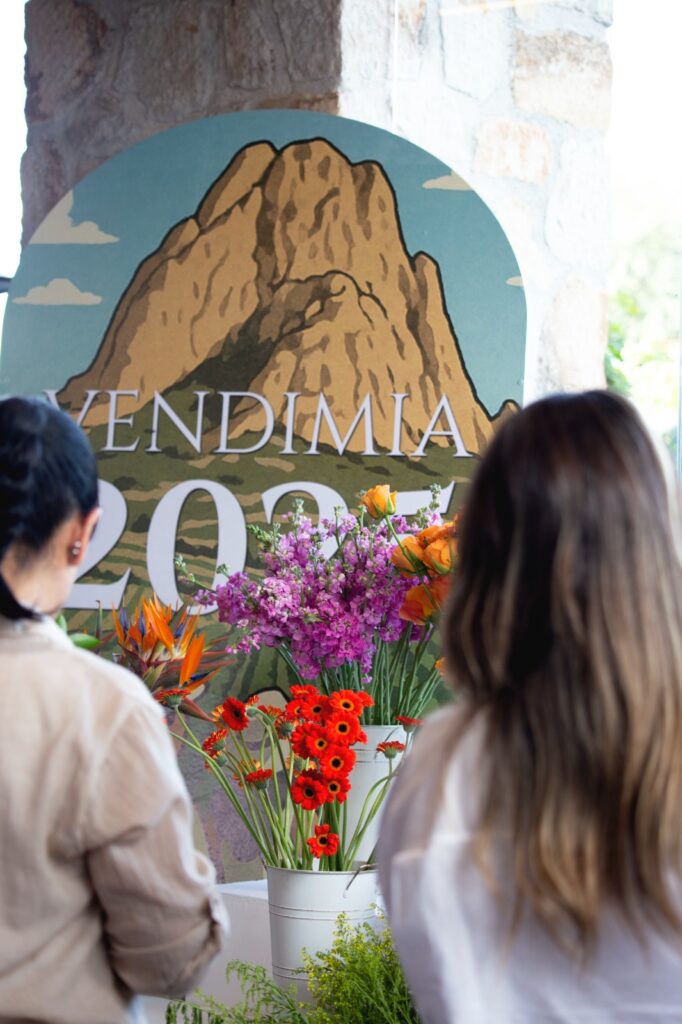 Vendimia PDLP 2025: Un Brindis Inolvidable entre Vino, Arte y Naturaleza