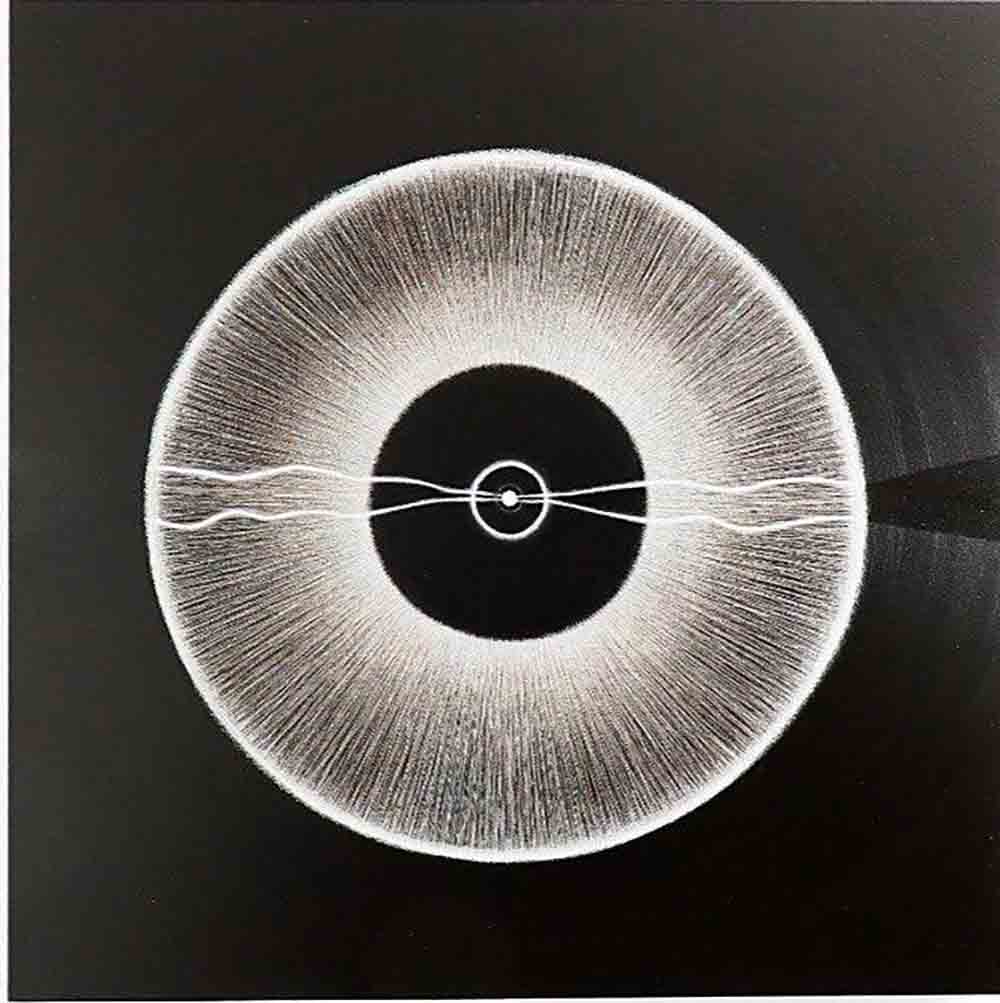 Presenta el Museo de la Ciudad un abánico