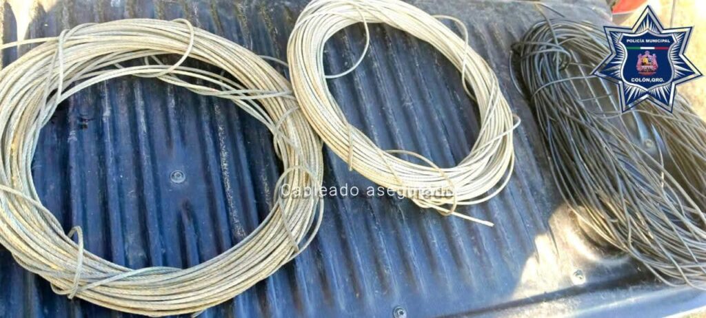 Aseguran a masculino por robo en granjas avícolas de Nogales, Colón