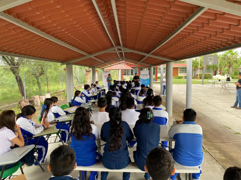 Llega al MAQRO la exposición Vamos hacia los árboles, de Esmeralda Torres