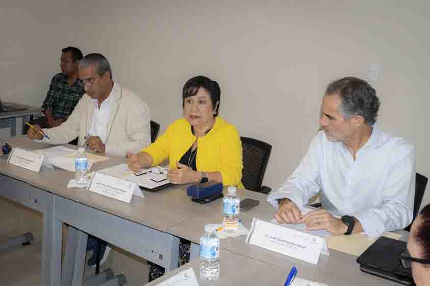 Realiza sesión plenaria el Consejo de Participación Ciudadana Temático de Salud