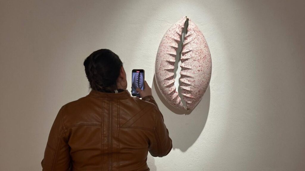 Las mujeres y los boxeadores llegan al MACQ en dos nuevas exposiciones artísticas