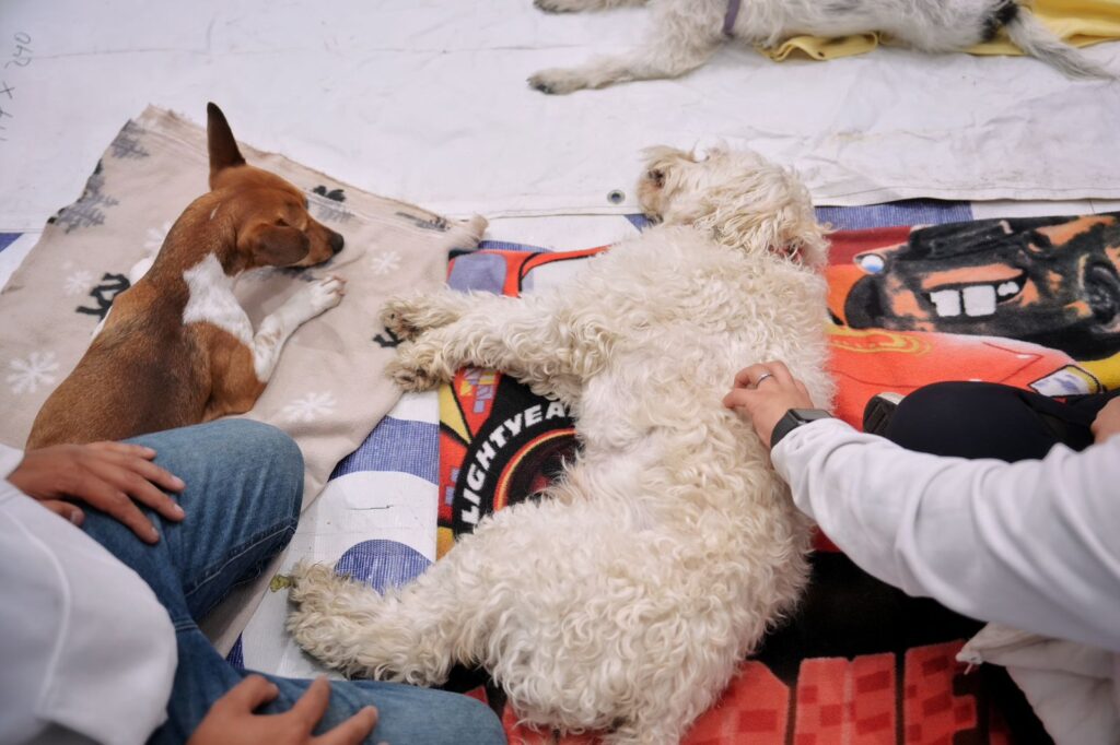 No podemos ser indiferentes ante el llamado de campesinos y transportistas: Martín Arango