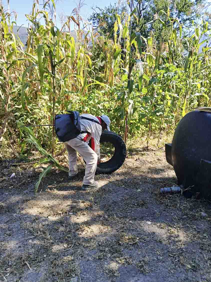 Realiza SESA vigilancia epidemiológica de dengue