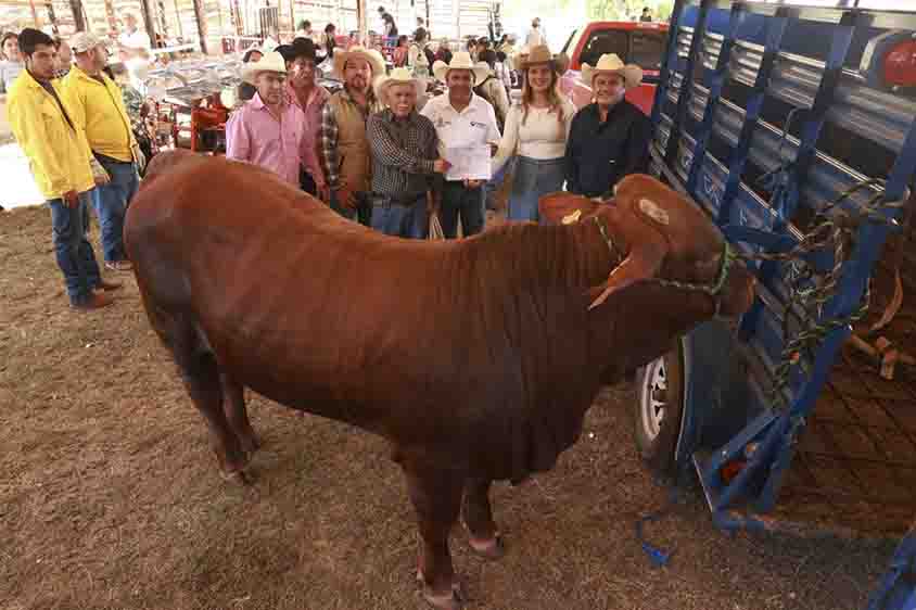 Reciben productores apoyos con valor de 13 mdp en Landa de Matamoros