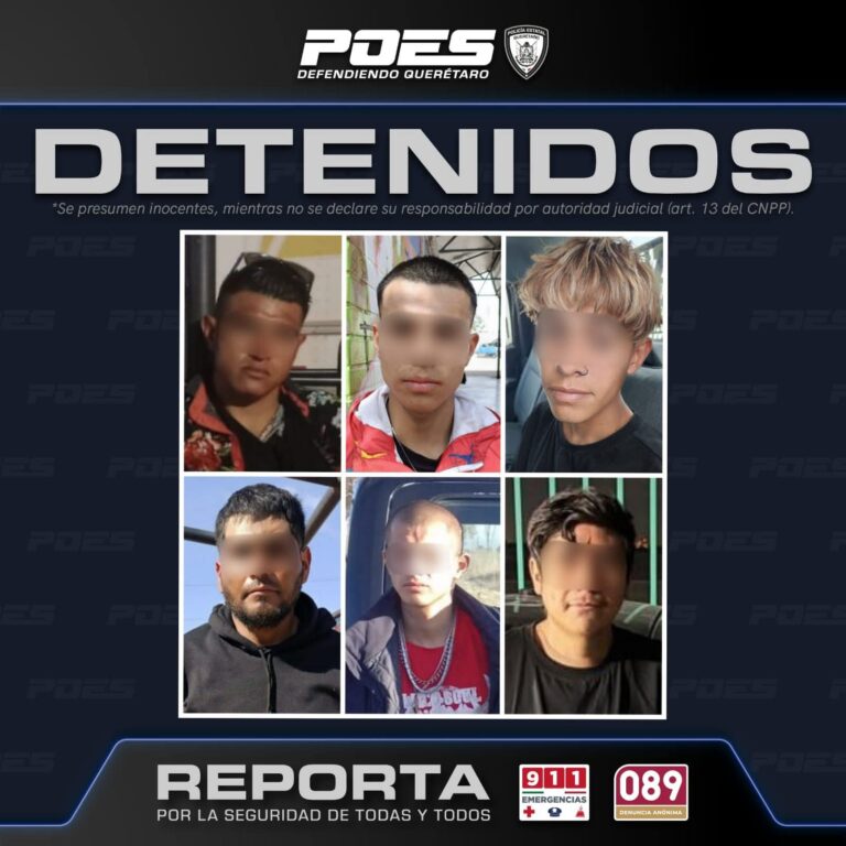 Seis detenidos por delitos contra la salud
