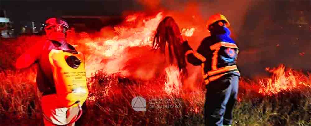 Incendio camellón qro