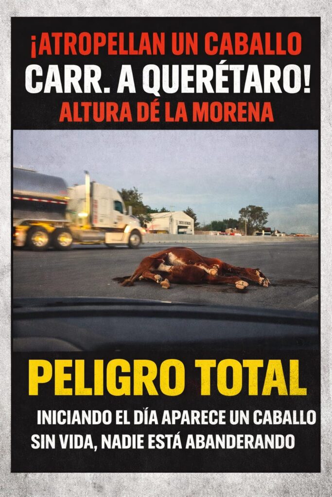 Un cuerpo sobre el asfalto