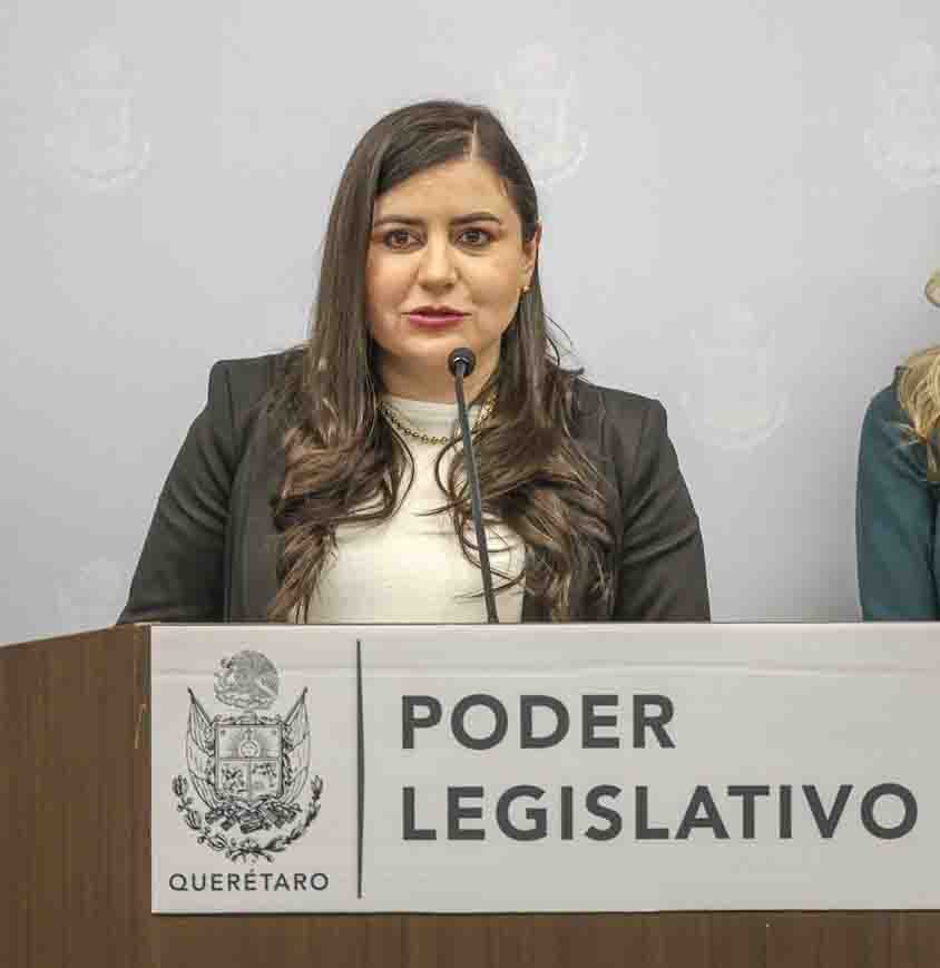 Por descuido de Morena regresan enfermedades del pasado
