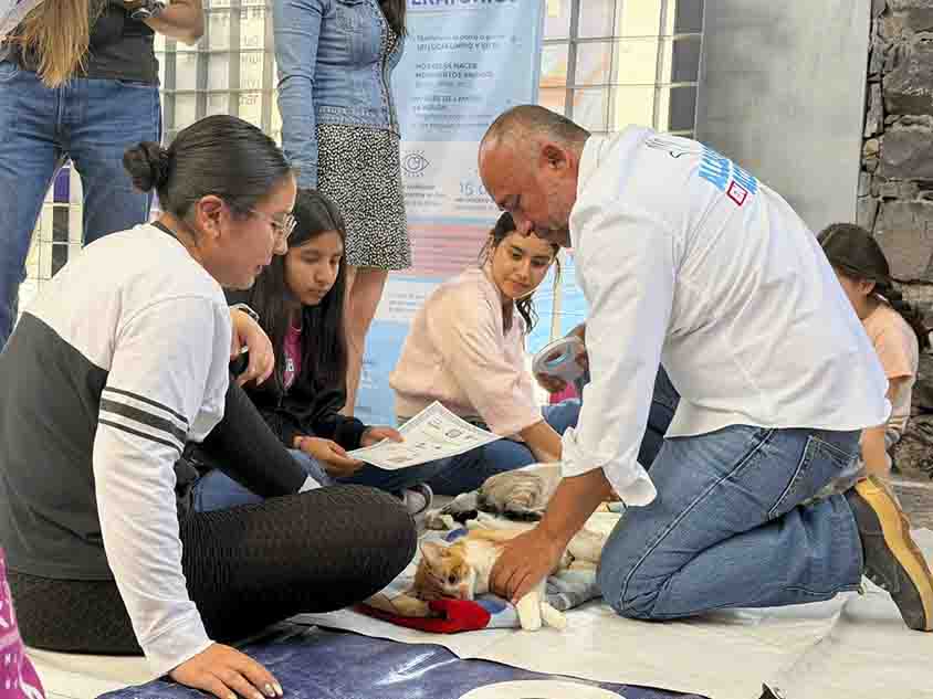 Acerca Municipio de Querétaro Feria de Bienestar Animal a Cayetano Rubio