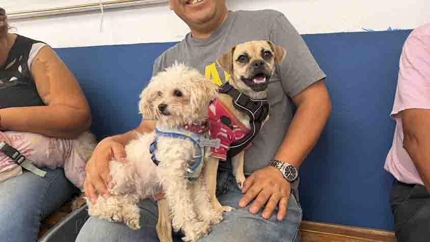 Acerca Municipio de Querétaro Feria de Bienestar Animal a Cayetano Rubio