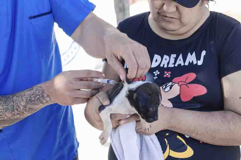 Suman más de 6 mil 800 sanjuanenses beneficiados a través de las Jornadas de Desarrollo Social