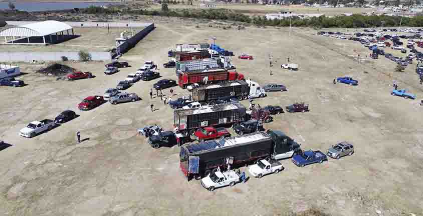 Entrega SEDEA maíz en Huimilpan para consumo humano