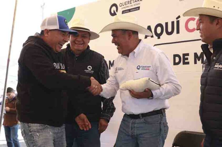 Entrega SEDEA maíz en Huimilpan para consumo humano