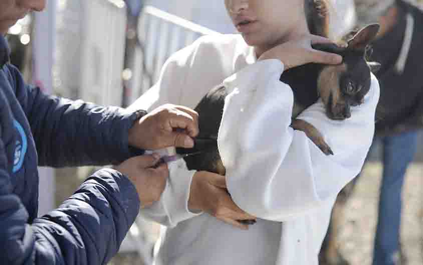 San Juan del Río realiza acciones en beneficio de la ciudadanía con el Programa “Miércoles en Palma de Romero”