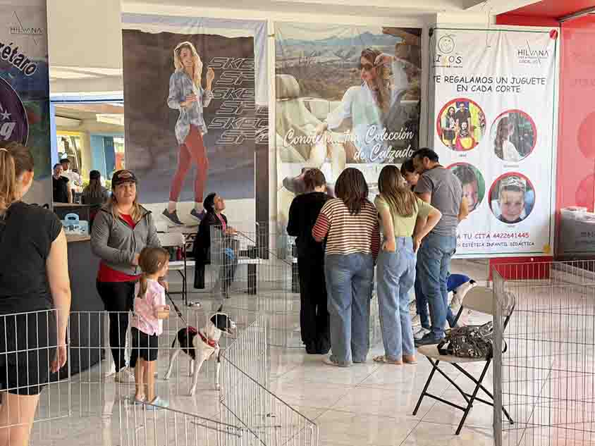 Querétaro impulsa cuidado y adopción de mascotas