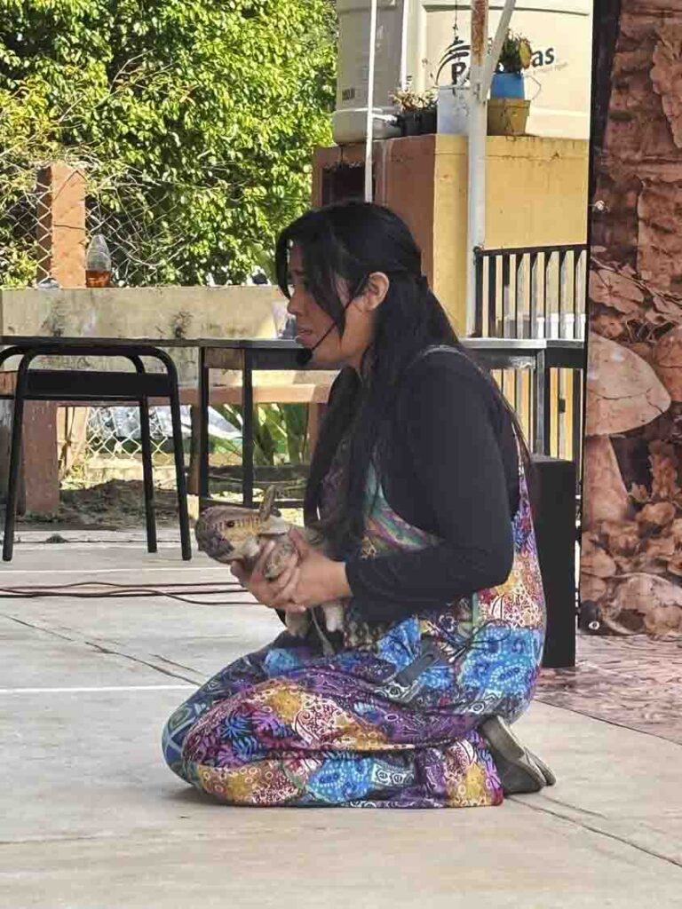 Inicia temporada de teatro infantil en el Museo Histórico de la Sierra Gorda