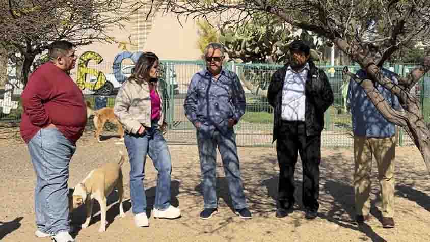 Municipio de Querétaro realiza acciones permanentes de bienestar animal