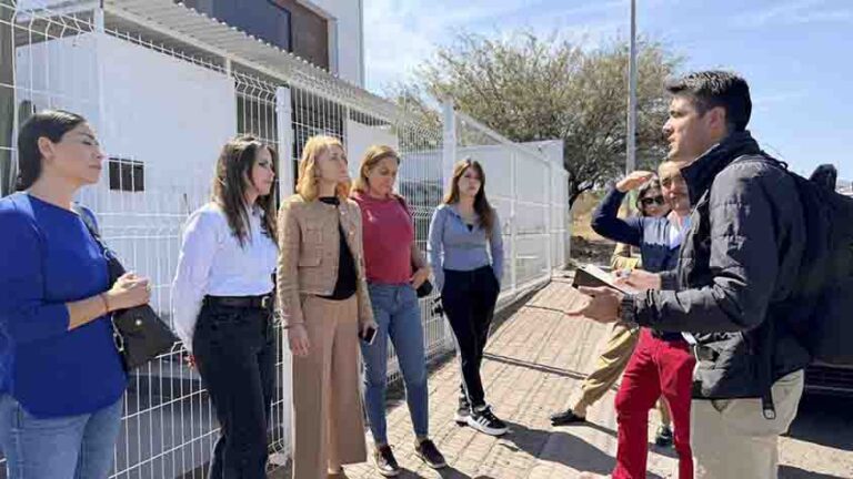 Acciones permanentes por el bienestar animal