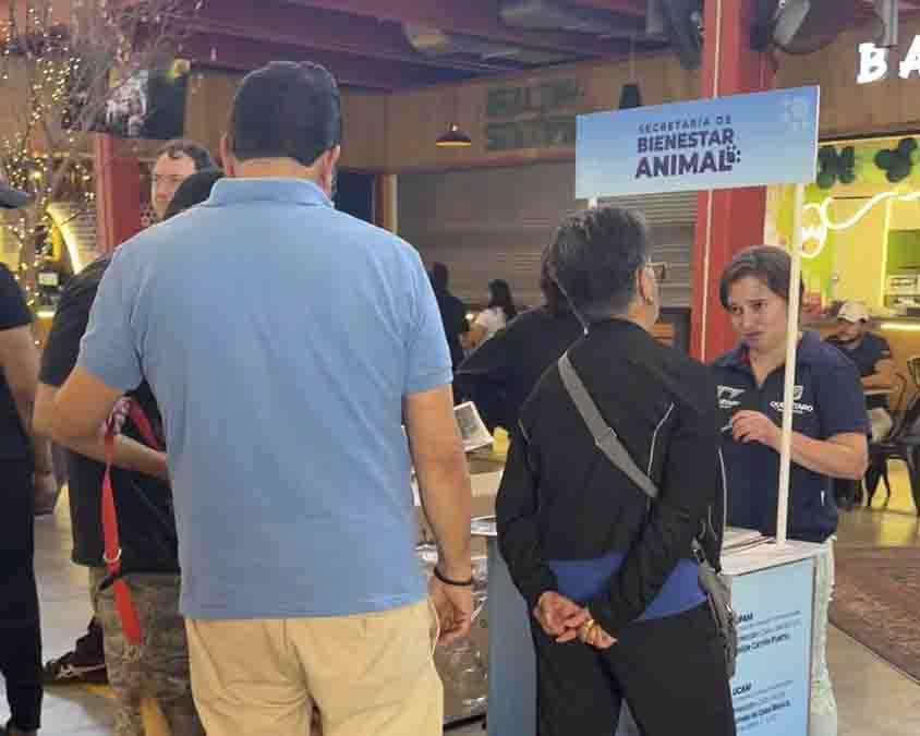 Municipio de Querétaro realiza acciones permanentes de bienestar animal
