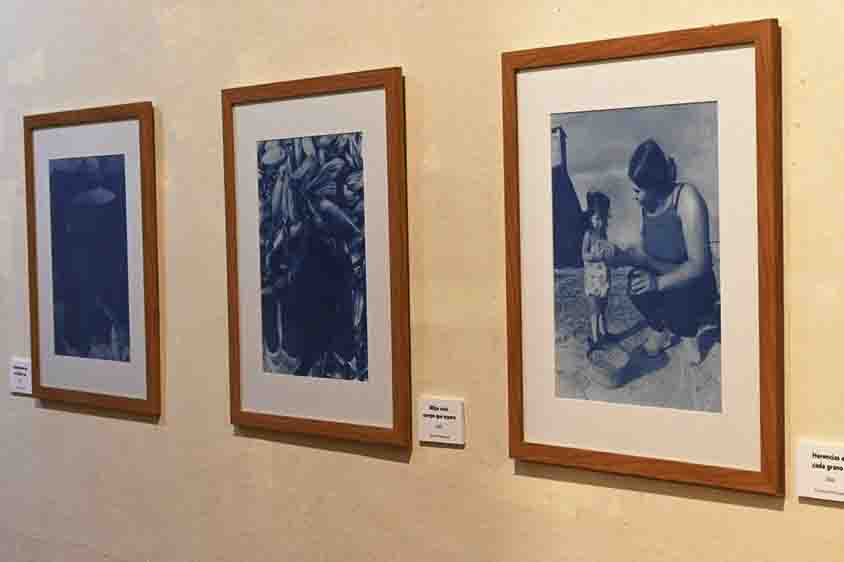 Presenta Yareli Hernández en el MAQRO su muestra De Milpas y Mujeres