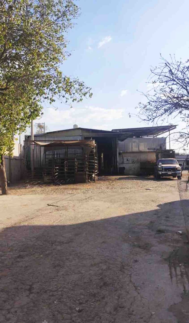 Verifican casa de matanza suspendida en Pedro Escobedo