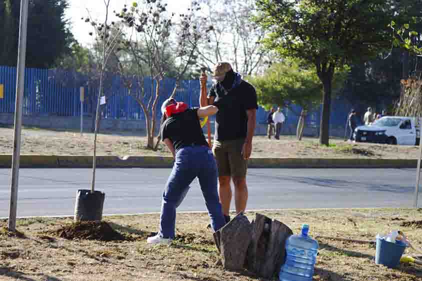 Municipio, ciudadanía e IP inician reforestaciones 2026