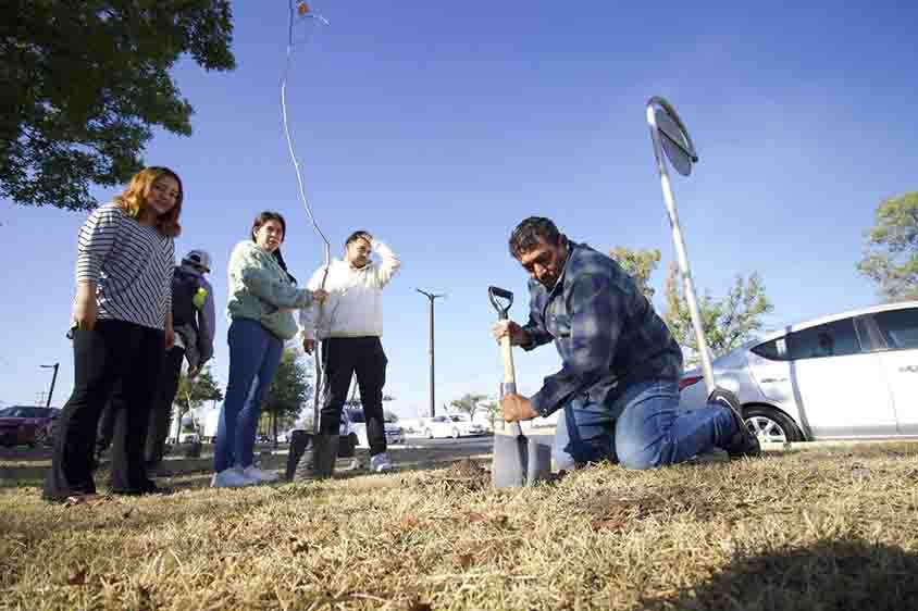 Municipio, ciudadanía e IP inician reforestaciones 2026