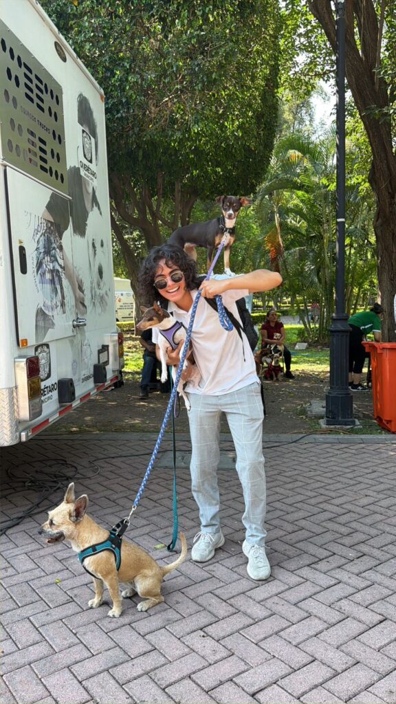 Afiliarán mascotas al sistema Qrobus